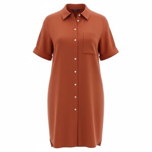 Old Navy Rust Shirt Dress